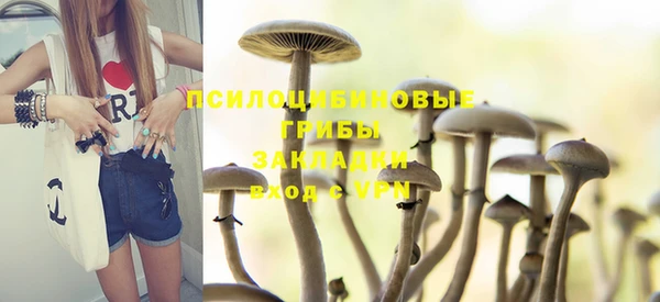винт Богданович