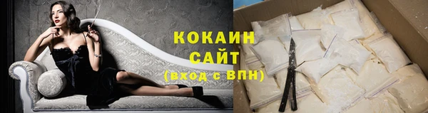 дживик Богородицк