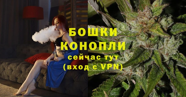 винт Богданович