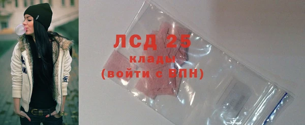 винт Богданович