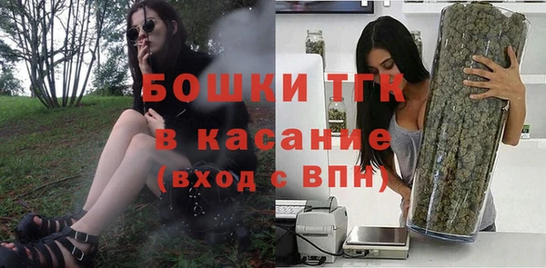 твердый Богородск