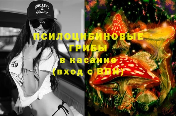 винт Богданович