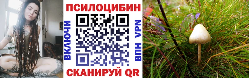 Псилоцибиновые грибы Cubensis  MEGA ССЫЛКА  Билибино 